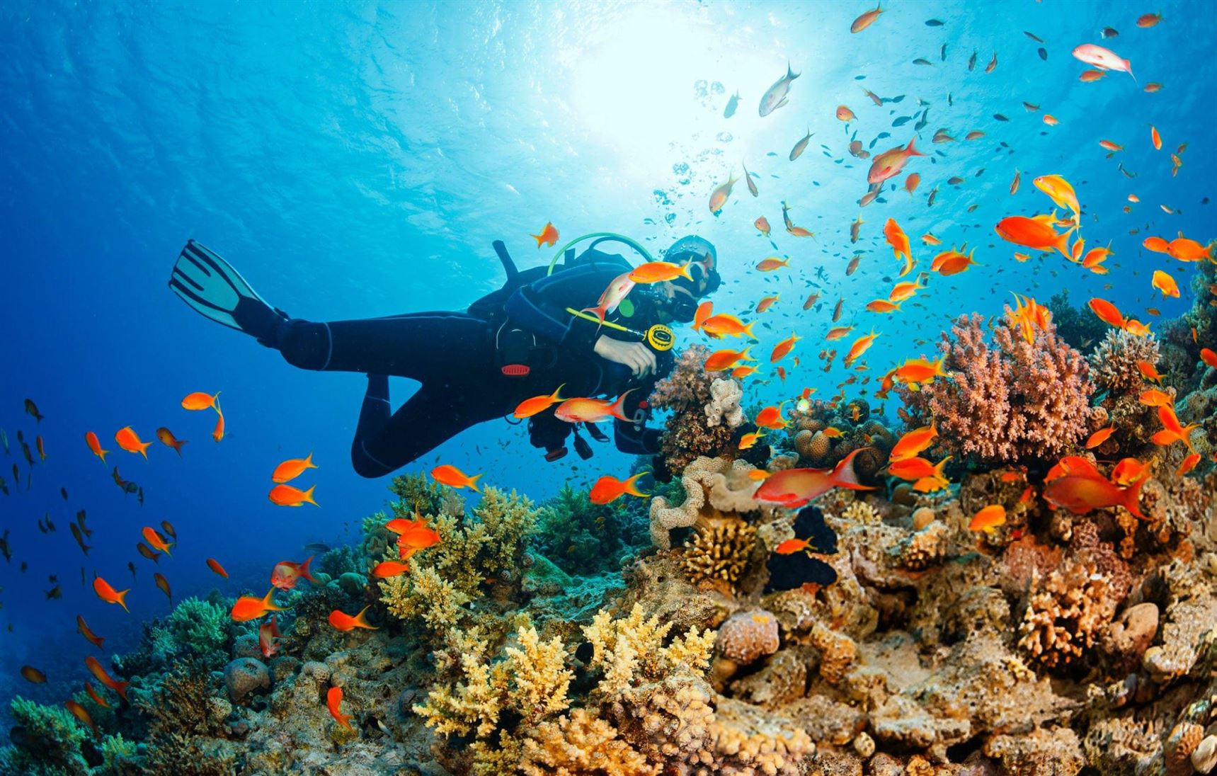 Havelock Island